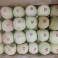 سیب درجه یک پول نقد|خوردنی و آشامیدنی|اهر, |دیوار