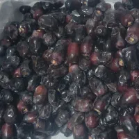 خرمامضافتی