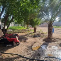 سرایدار میخوام