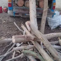 مرکبات خریدارم 10000