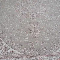 دو عدد قالی دوازده متری در حد نو|فرش|تایباد, |دیوار