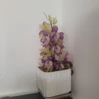 دکوری