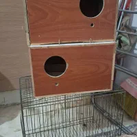 لونه پرنده|لوازم جانبی حیوانات|اسلامشهر, شهرک احمدیه|دیوار