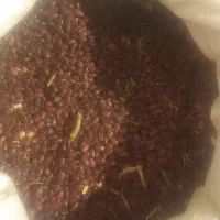 فروش|حراج|بلبان آباد, |دیوار