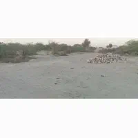 فروش زمین|فروش زمین و ملک کلنگی|سیریک, |دیوار