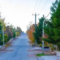 فروش-باغشهره-گلبهار-سند-تک-برگ