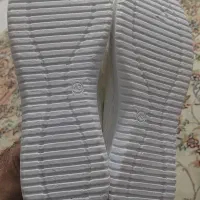 کتونی|کیف، کفش، کمربند|پرند, فاز ۶|دیوار