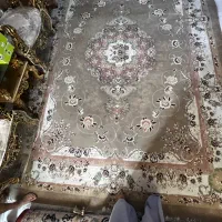 فرش ۱۲متری۵۰۰ شانه|فرش|فولادشهر, C3|دیوار