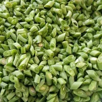 سبزیجات خانگی|خوردنی و آشامیدنی|ایلخچی, |دیوار