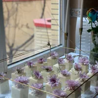 اشپزی فینگر فود ، مینی کیک ، کاپ کیک ، دسر