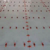 کاشیکاری نماکاری|خدمات پیشه و مهارت|یاسوج, |دیوار