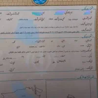 فروش ۲۵۰متر زمین در گلبهار باسند تک برگ