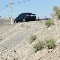 پارس استثنایی