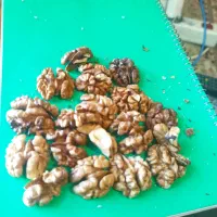 گردو پوست کاغذی روغنی تویسرکان(تازه)