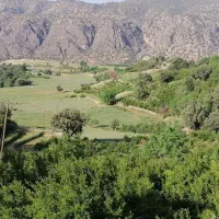 فروش باغ