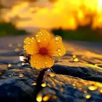 کارت پایان خدمت گمشده