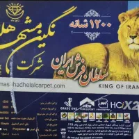 فرش۱۲۰۰ شانه گلبرجسته ۱۲ متر و ۶ متر|فرش|بیرجند, |دیوار