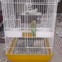 ۲۶۰۰۰۰۰