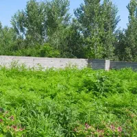 فروش-زمین-1000متری-براصلی-روستای-کتشال