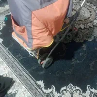 کالسکه چیکو