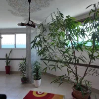 ساختمان-اداری-تجاری-یکجا-610-متر-خ-کاوه-جنب-مترو