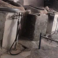 شاطر نان محلی