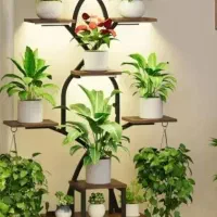 چوب و دکوراسیون دکورال|خدمات پیشه و مهارت|بردسکن, |دیوار