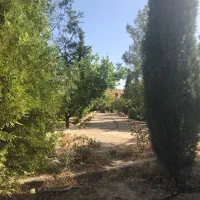 فروش باغ شهر در قلات|فروش خانه و ویلا|شیراز, گلستان|دیوار