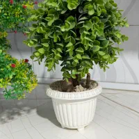 گل مصنوعی|گل مصنوعی|پرند, فاز ۳|دیوار