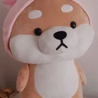 کاملا سالم و نو