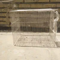 قفس طوطی و عروس هلندی