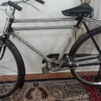 دوچرخه فینیکس (Phoenix) - کالایی لوکس|دوچرخه، اسکیت، اسکوتر|بردخون, |دیوار