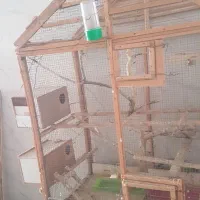 فروش فوری قفس چوبی بزرگ