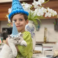گربه ی لوکس چشم آبی