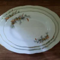 دیس چینی سه سایز و کاسه چینی مقصود نو نو