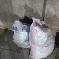 دو کیسه بار کفتر