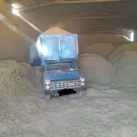 خریدارکاه لوبیا قرمز کاه لوبیا سفید