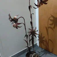 چراغ خواب