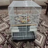 قفس ۱۰۳۲ با لوازم و سرلاک|لوازم جانبی حیوانات|مشهد, رضاشهر|دیوار