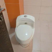 توالت فرنگی