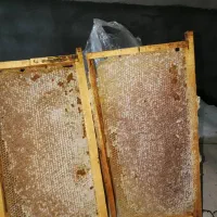 عسل طبیعی خالص