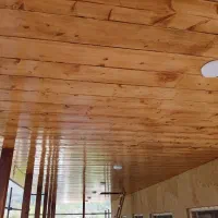 نقاشی ساختمان|خدمات پیشه و مهارت|فومن, |دیوار