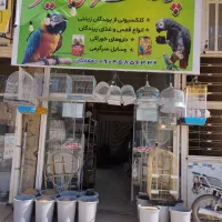 پرنده سرای امیر