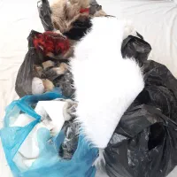 خز سرقیچی