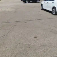 استخدام نیرو ساده پارگنیک