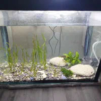 اکواریوم زیبا وسایل