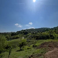 فرصت طلایی برای خرید زمین۳۰۰متری در دل طبیعت