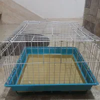 قفس خرگوش