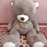 خرس قهوه ای خارجی