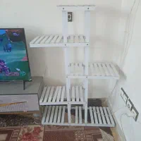 استند گل و انواع گل آپارتمانی|گل و گیاه طبیعی|بندر گناوه, |دیوار